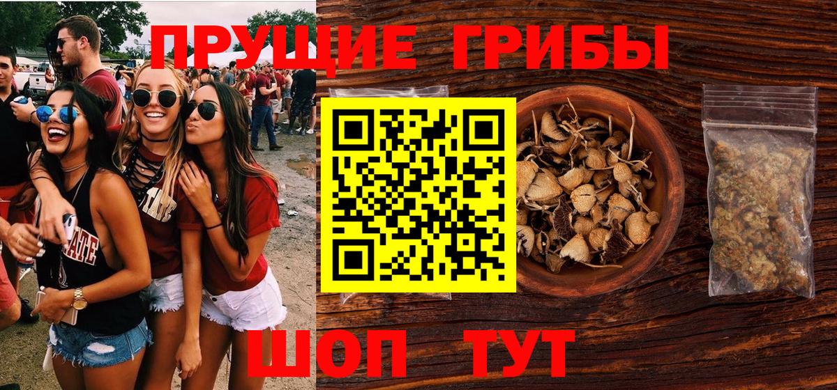 Артём  Галлюциногенные грибы GOLDEN TEACHER  Вход с VPN 